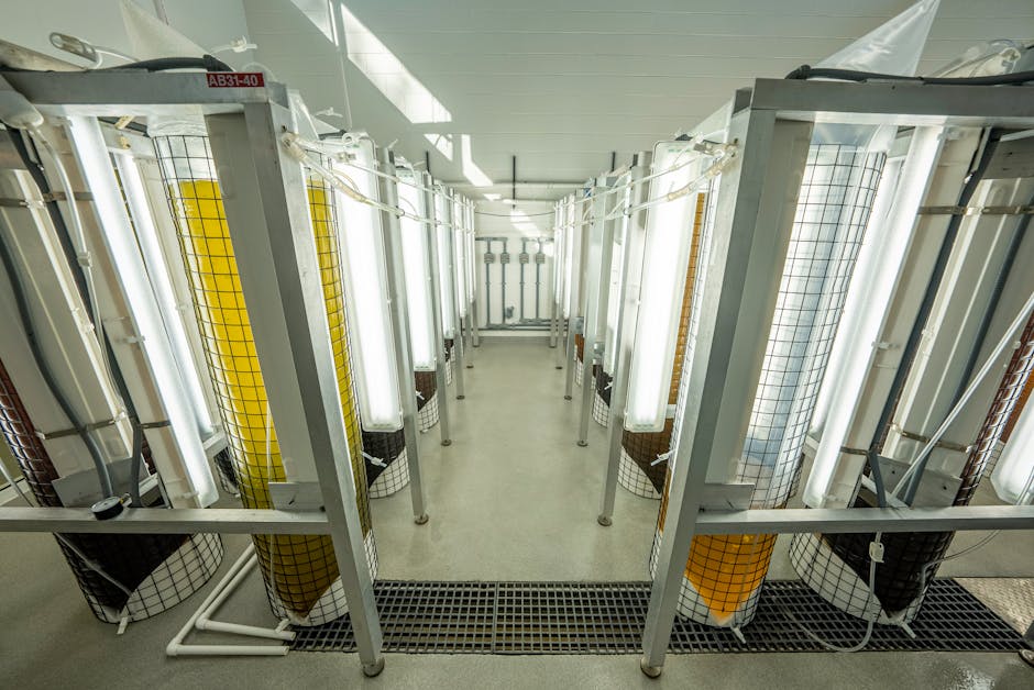 Boilers installer in Billinge