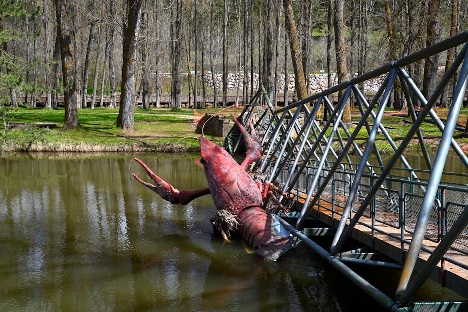 Boilers installer in Saddleworth