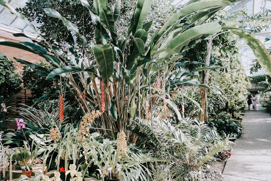 Conservatory Roofs hero image