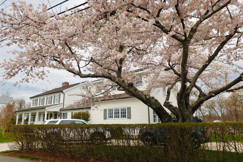 Conservatory Roofs hero image