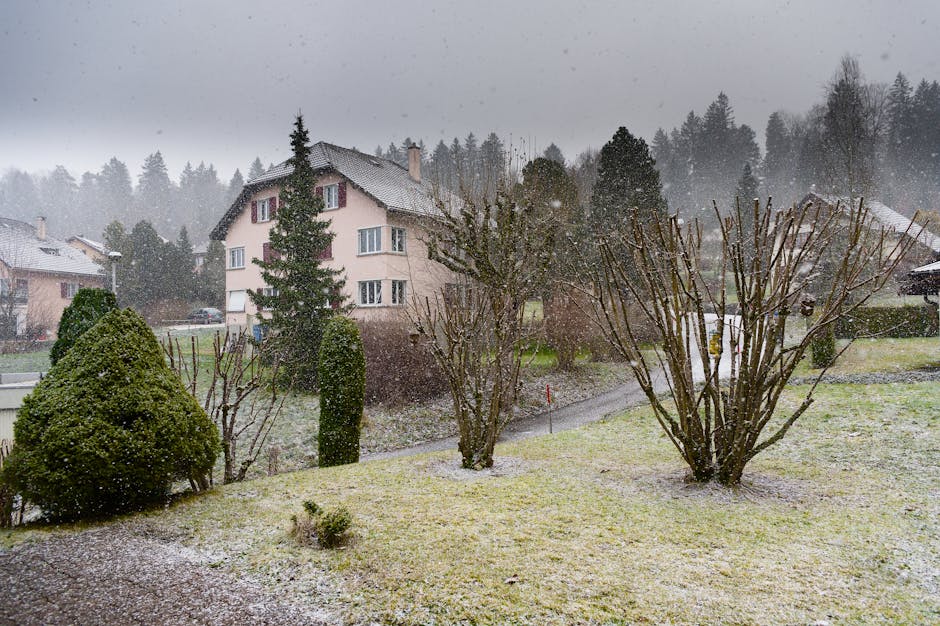 Conservatory Roofs grants in Tottington