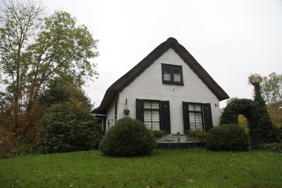 Conservatory Roofs hero image