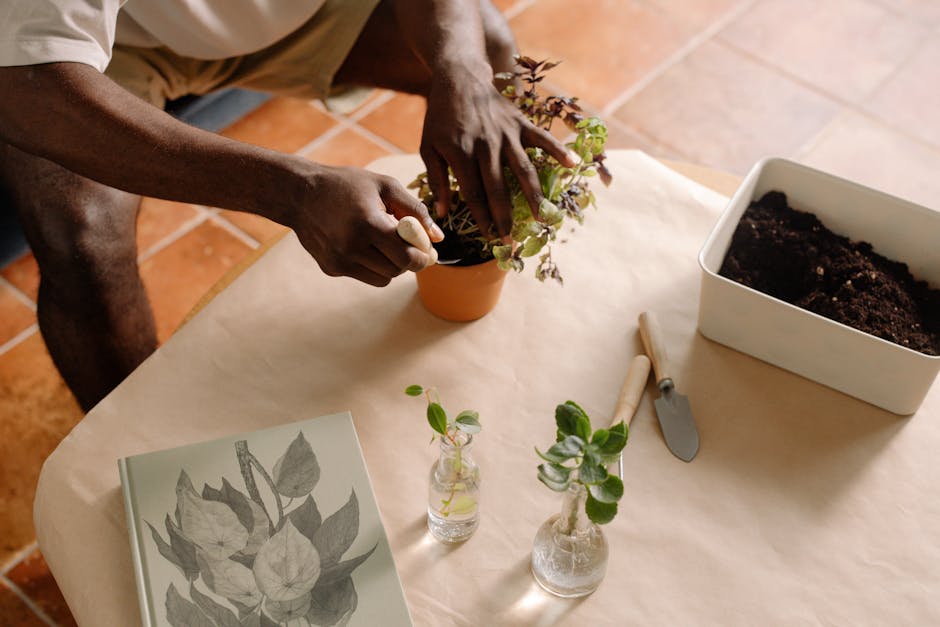 Conservatory Roofs installer in Upton