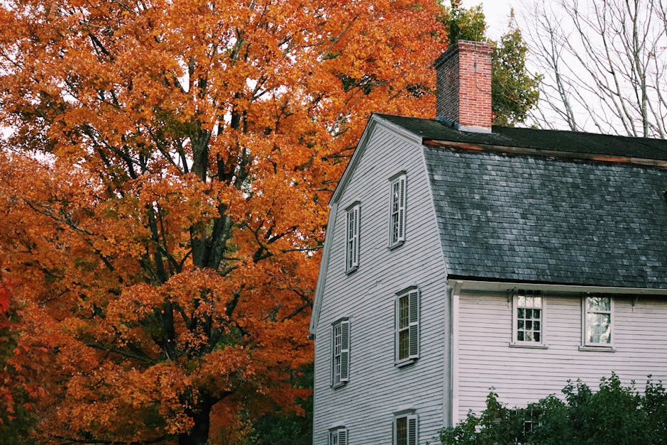 Conservatory Roofs hero image