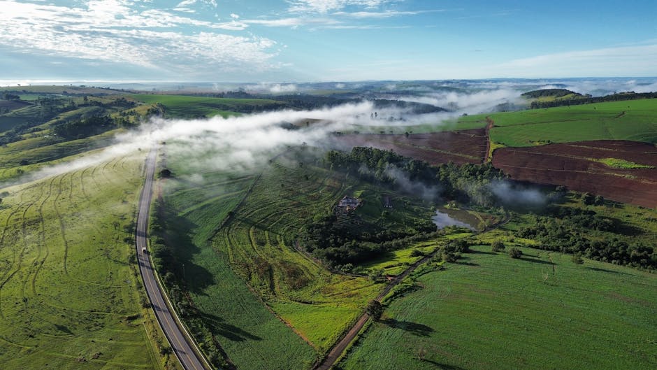 Conservatory Roofs installer in Waterloo