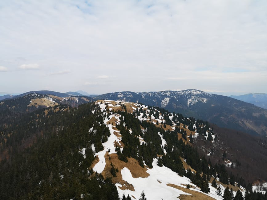 Conservatory Roofs grants in Woolton