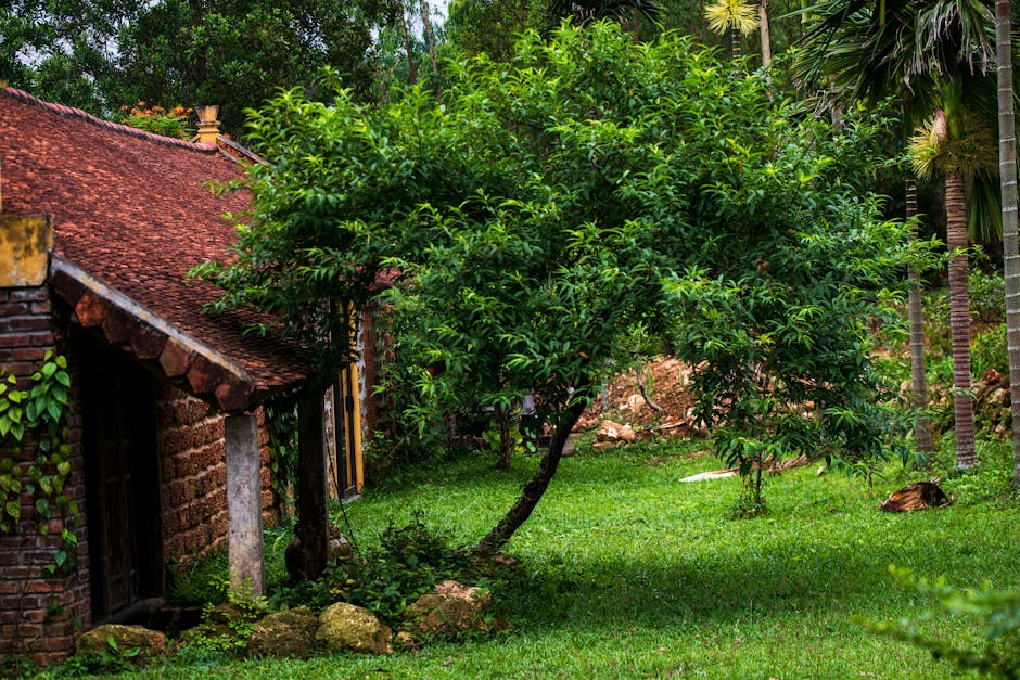 Conservatory Roofs hero image