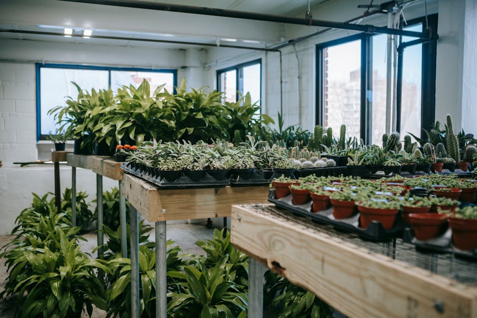 Conservatory Roofs hero image