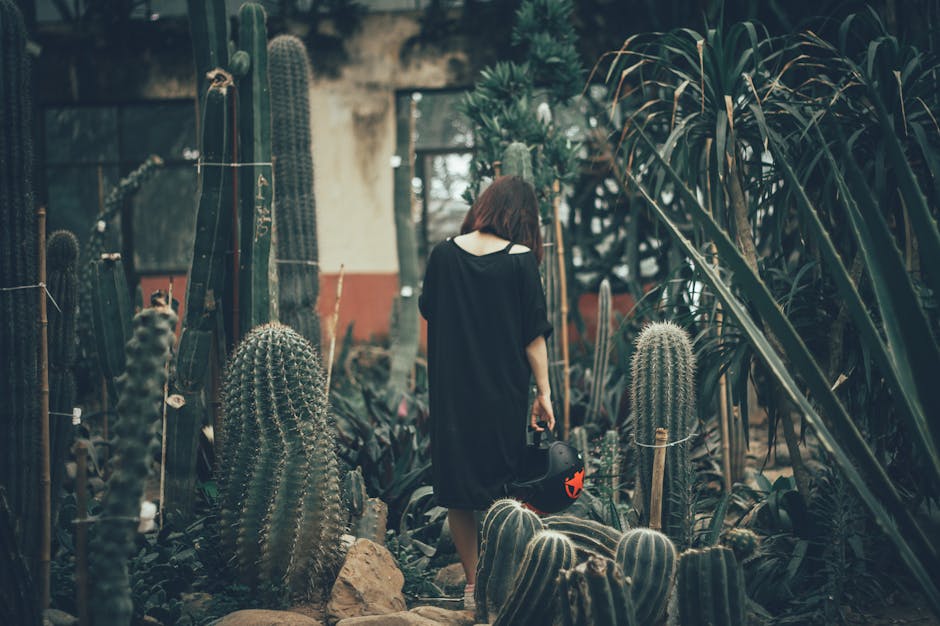 Conservatory Roofs grants in Newcastle upon Tyne