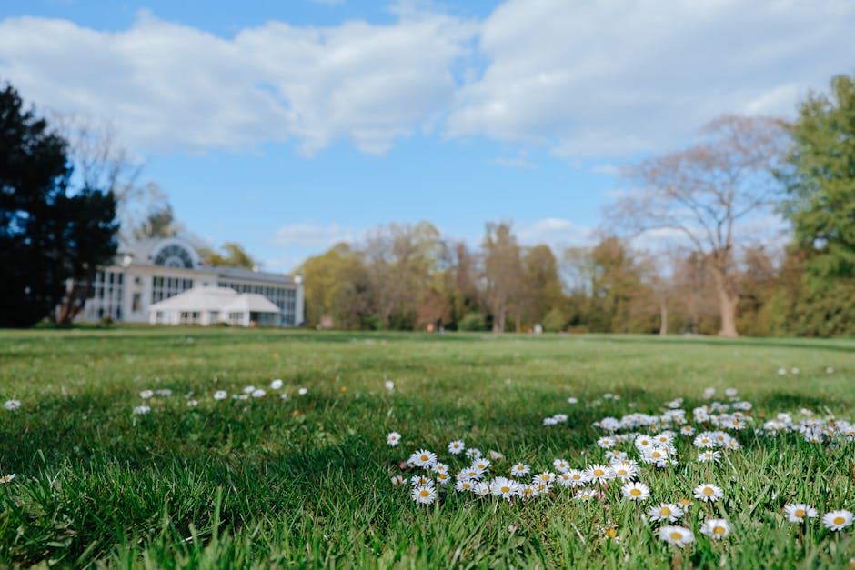Conservatory Roofs hero image