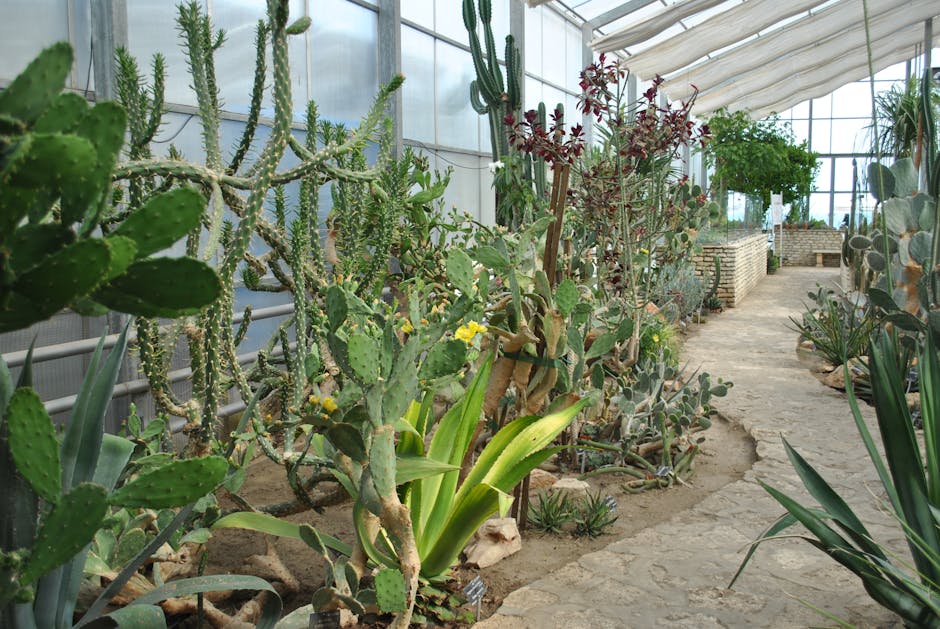 Conservatory Roofs hero image