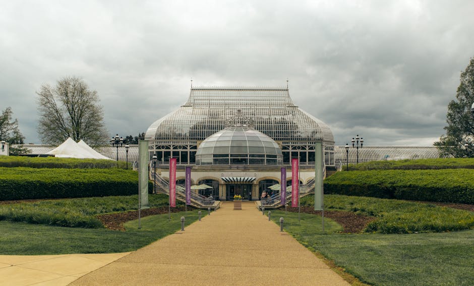 Conservatory Roofs grants in Preston