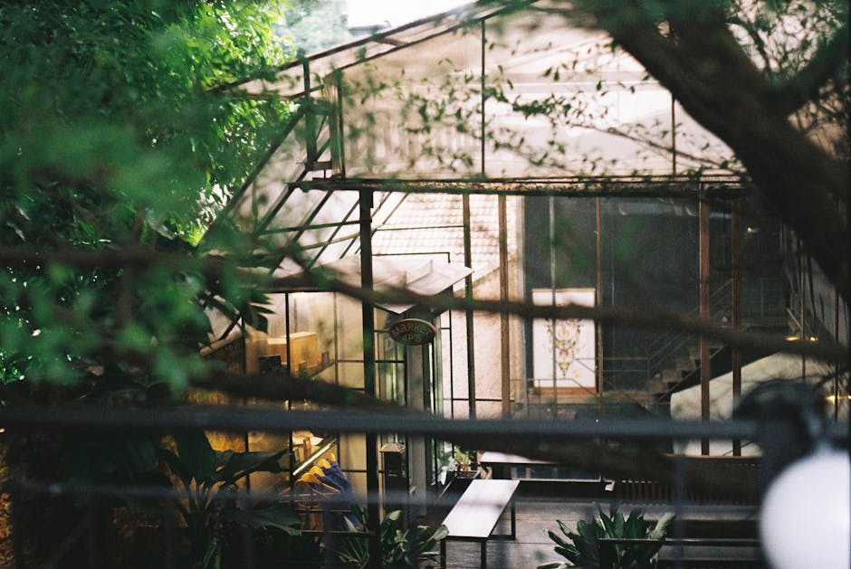 Conservatory Roofs grants in Reading