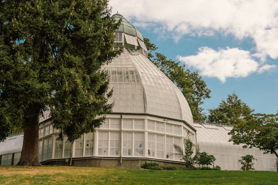 Conservatory Roofs grants in Salford