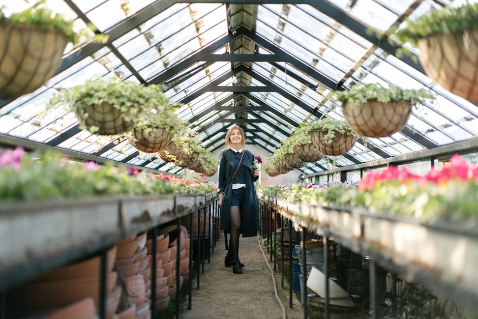 Conservatory Roofs installer in Salisbury