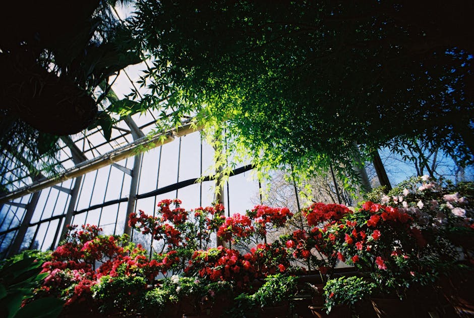 Conservatory Roofs hero image