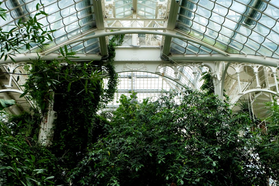 Conservatory Roofs grants in St Helens