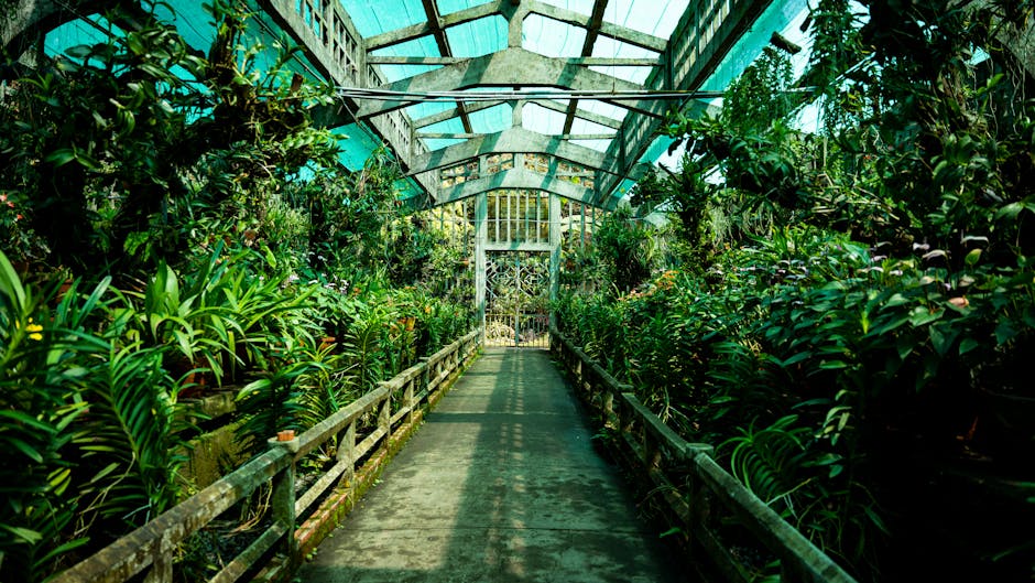 Conservatory Roofs hero image