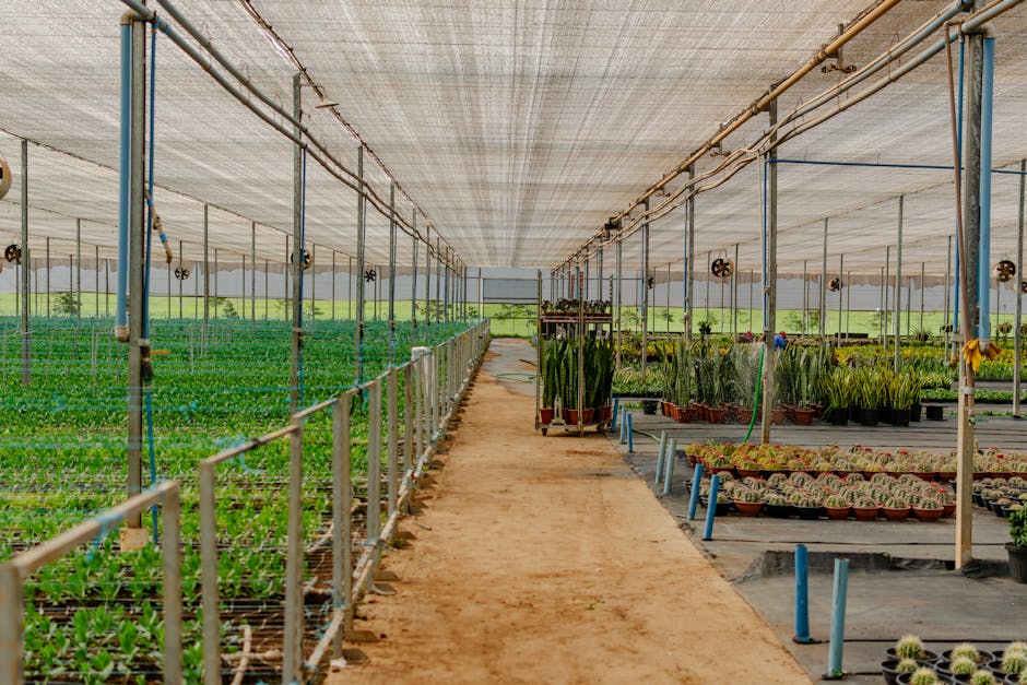 Conservatory Roofs installer in Sunderland