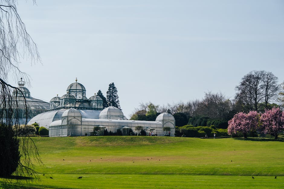 Conservatory Roofs hero image