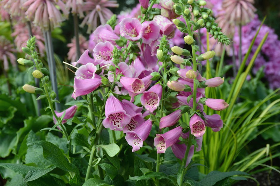 Conservatory Roofs hero image