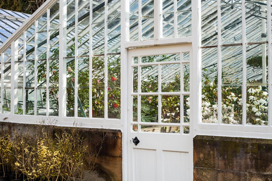 Conservatory Roofs grants in Birmingham
