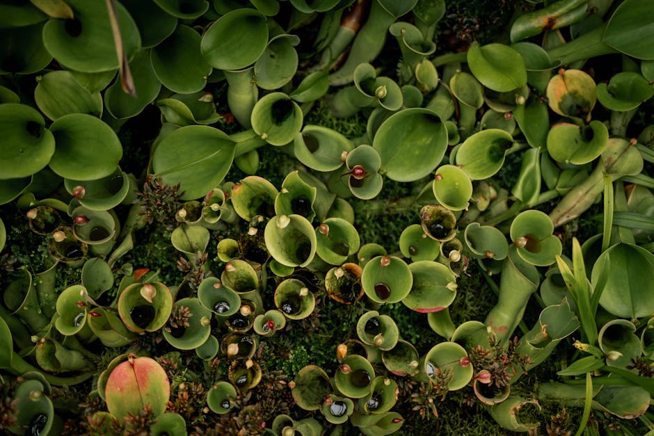 Conservatory Roofs hero image