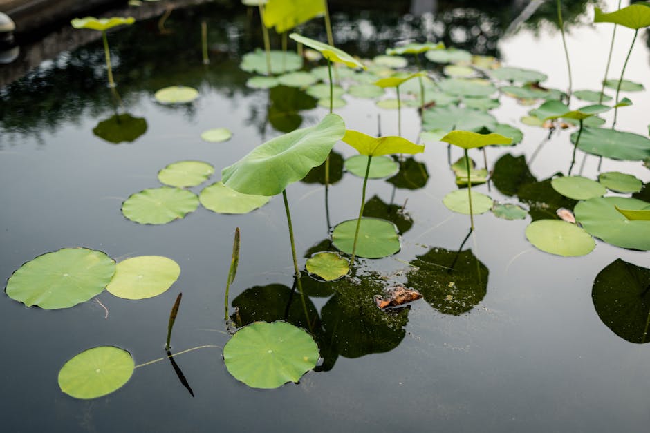 Conservatory Roofs hero image