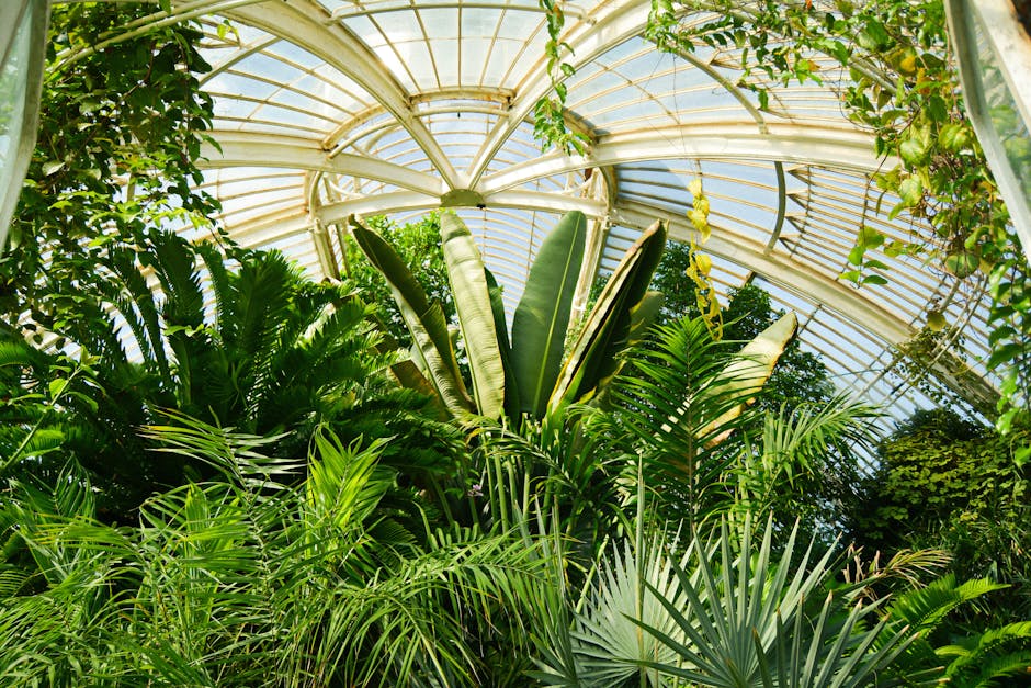 Conservatory Roofs installer in Bootle