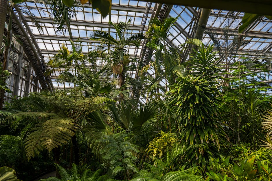 Conservatory Roofs grants in Brighton