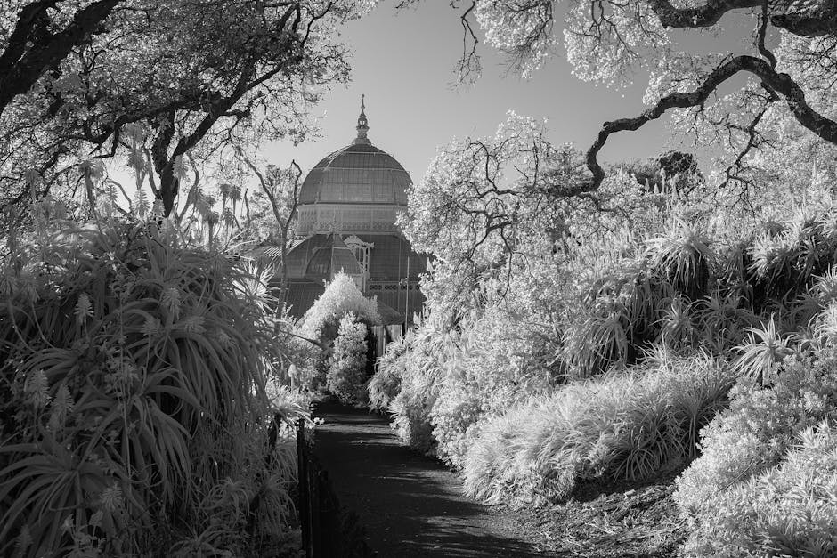 Conservatory Roofs grants in Bury