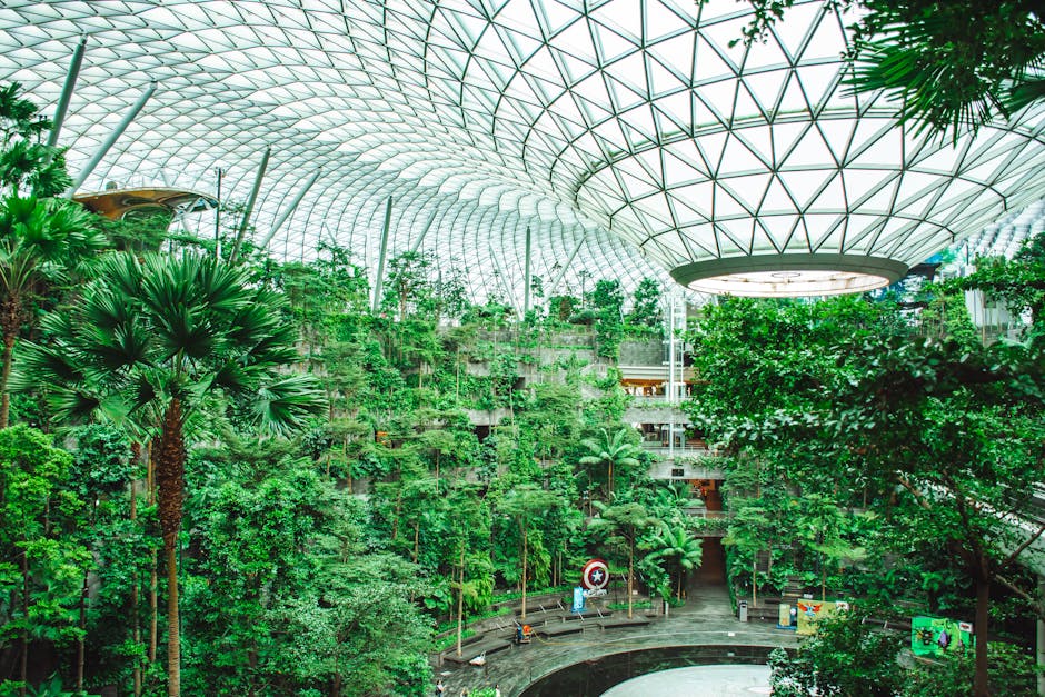 Conservatory Roofs installer in Bury