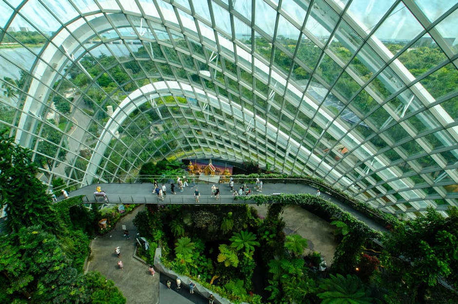 Conservatory Roofs grants in Cardiff