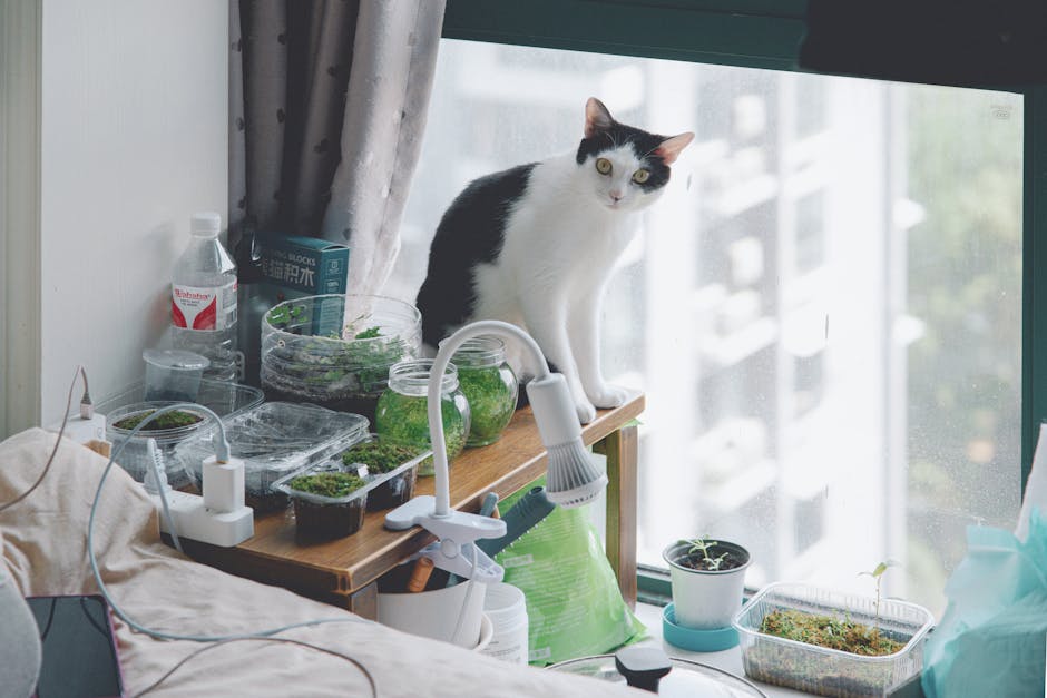 Conservatory Roofs grants in Aspull