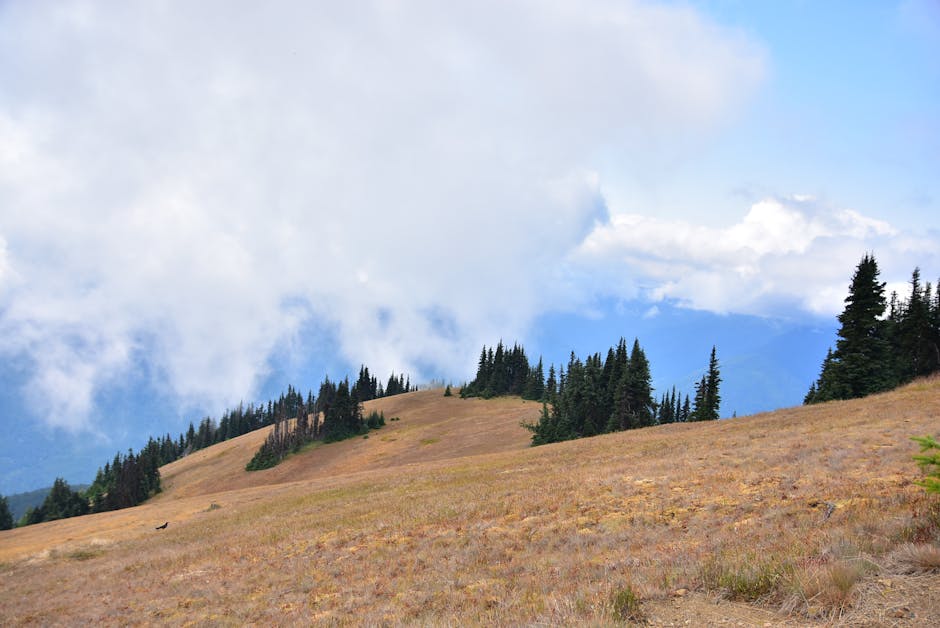 Conservatory Roofs installer in Astley