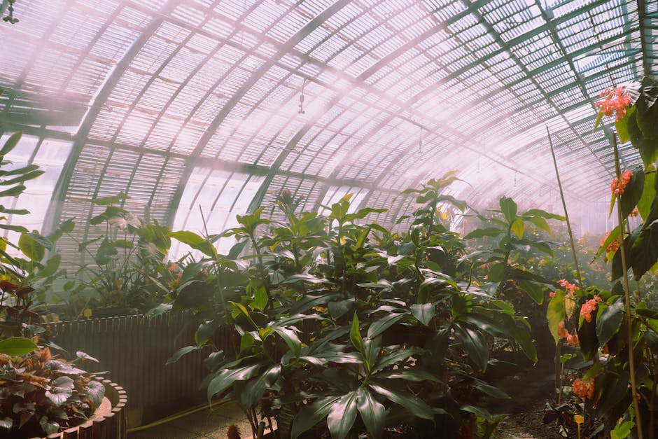 Conservatory Roofs grants in Cheltenham