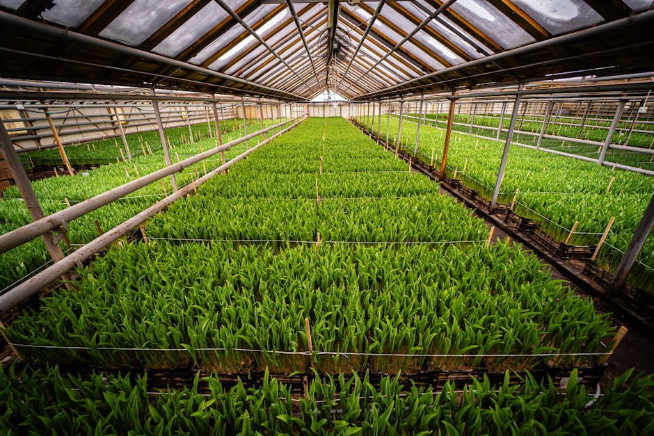 Conservatory Roofs installer in Audenshaw