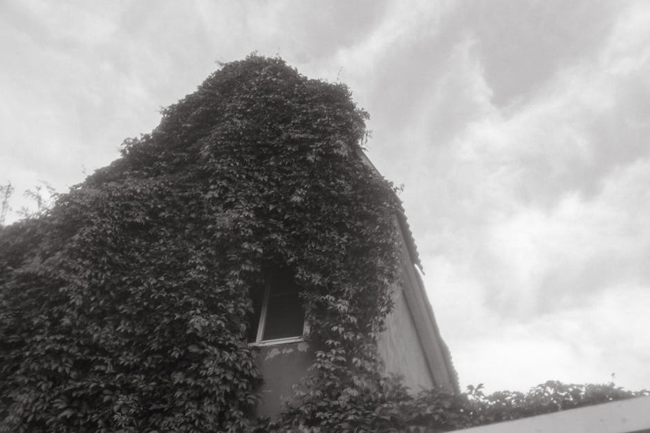 Conservatory Roofs grants in Barrowford