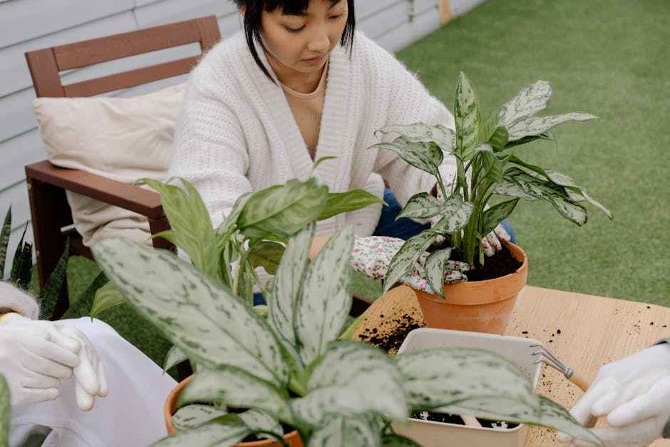 Conservatory Roofs grants in Bebington