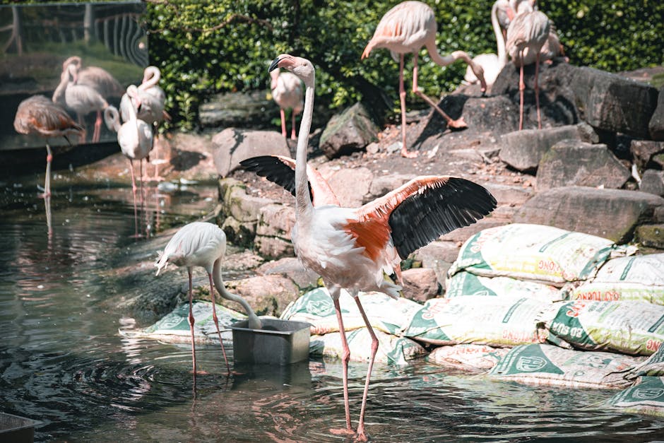Conservatory Roofs hero image