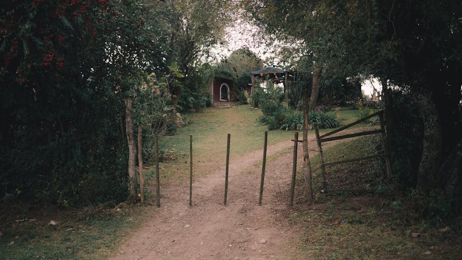 Conservatory Roofs grants in Bramhall