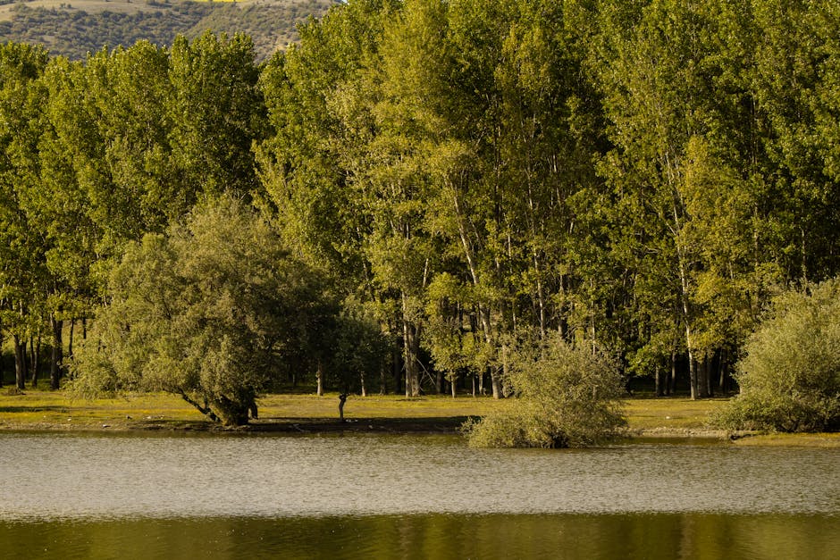 Conservatory Roofs grants in Cadishead