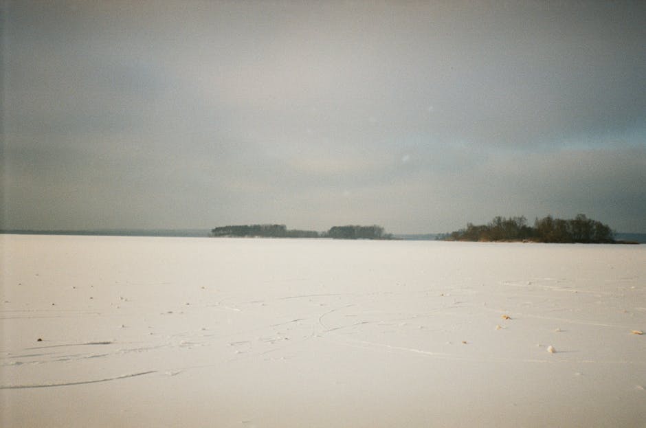 Conservatory Roofs installer in Chadderton
