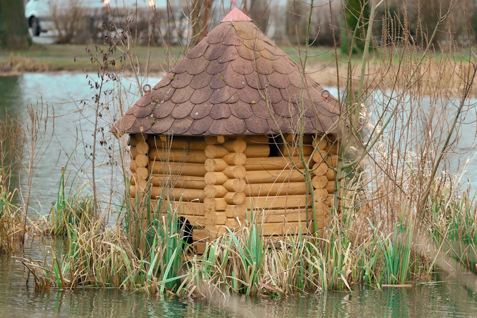Conservatory Roofs hero image