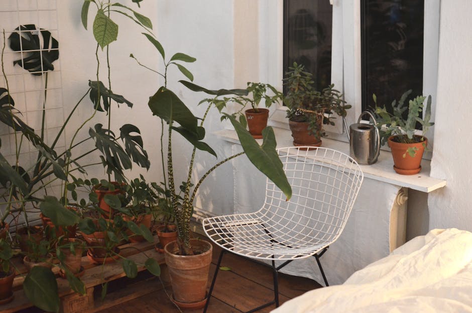 Conservatory Roofs installer in Chorlton-cum-Hardy