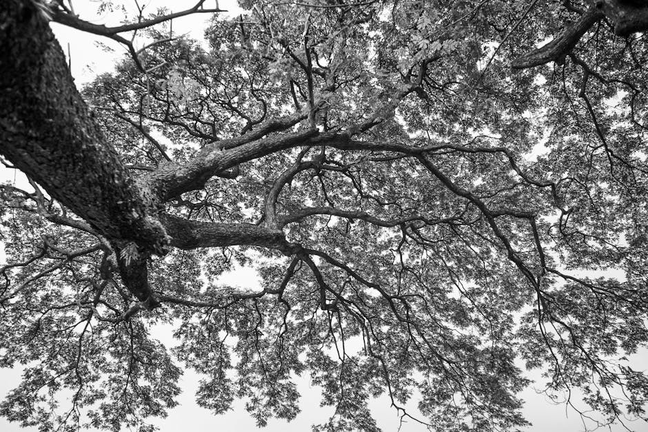 Conservatory Roofs hero image