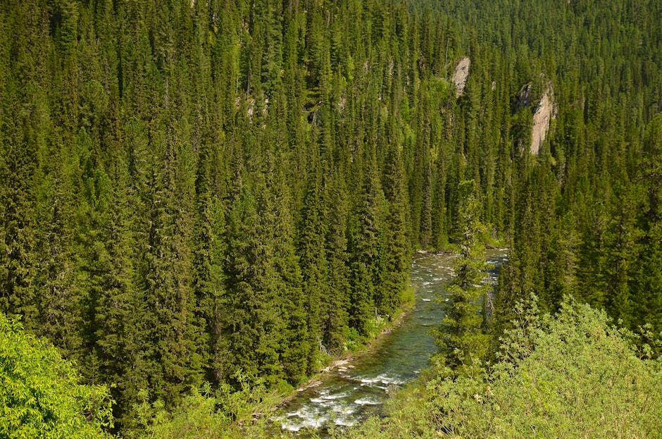 Conservatory Roofs installer in Darwen