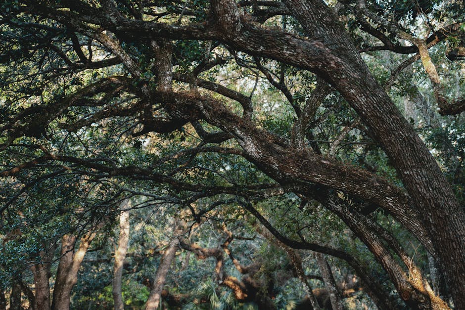 Conservatory Roofs hero image