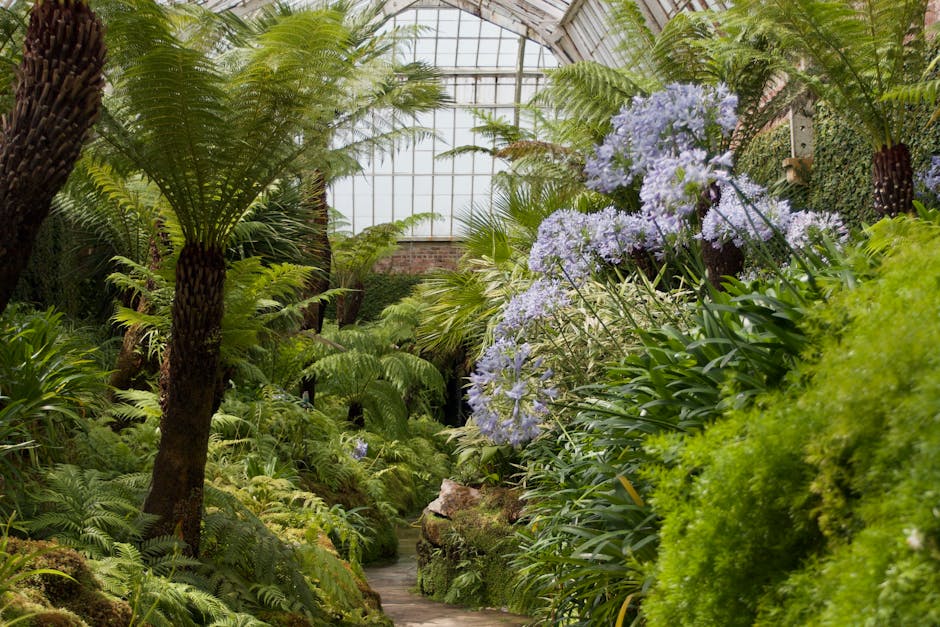 Conservatory Roofs hero image