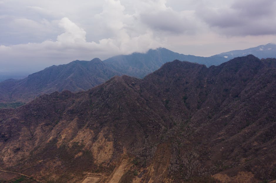 Conservatory Roofs hero image